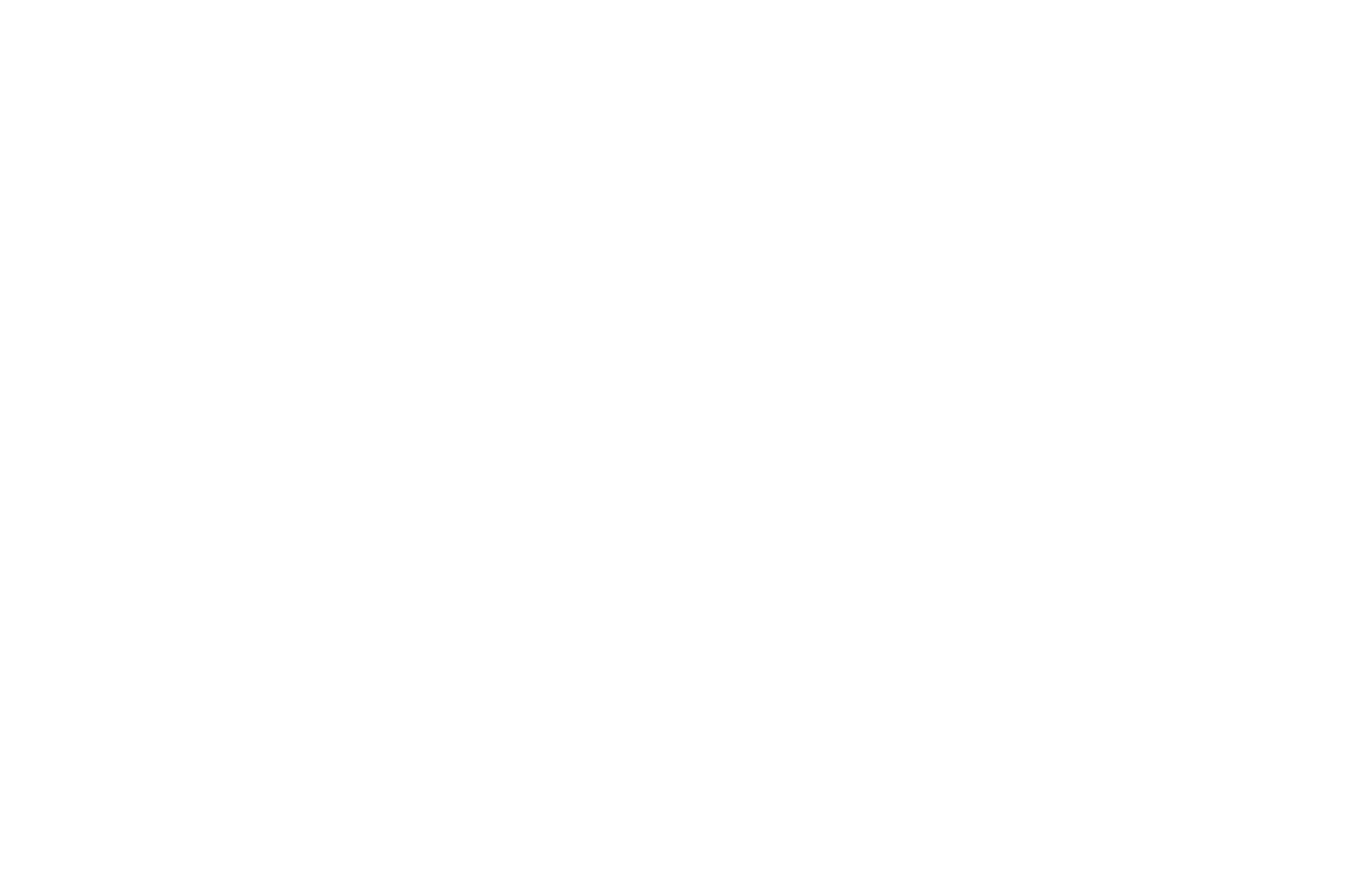 The Treo Group